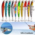10-Pack Bass Fishing Lures and Jerkbaits