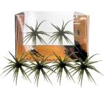 4Pcs Realistic Sea Urchin Fishing Lures