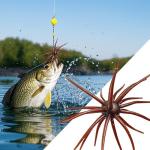 Silicone Sea Urchin Lures for Bass Fishing