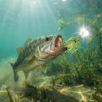 FONMANG Vibrating Bladed Jigs for Bass Fishing