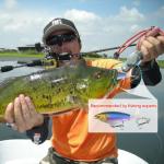 Whopper Popper Fishing Lure with 3D Eyes