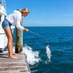 6 Soft Plastic Octopus Baits for Bass Fishing