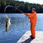 6 Soft Plastic Octopus Baits for Bass Fishing