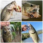 FONMANG 6-Pack Fishing Lures for Freshwater & Saltwater