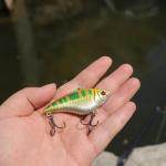 Lipless Crankbait Lures for Bass and Trout