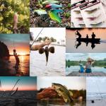 Lipless Crankbait Lures for Bass and Trout