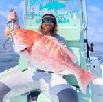 A.M. Fishing Garlic Infused 4” Jerkshad Baits