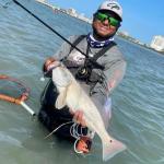 A.M. Fishing Garlic Infused 4” Jerkshad Baits