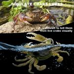 FishingPepo 3-Pack Soft Plastic Crab Lures