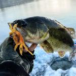 FishingPepo 3-Pack Soft Plastic Crab Lures