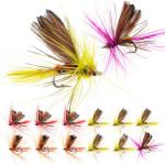 12-Piece Fishing Fly Kit for Trout and Bass