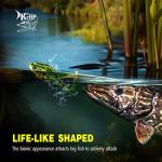 Topwater Frog Lure Set for Bass and Trout