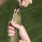 20pcs Fly Fishing Lures Assortment for All Fish