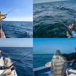 36-Piece Luminous Fishing Rigs with Sharp Hooks