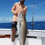 36-Piece Luminous Fishing Rigs with Sharp Hooks