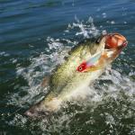 Saltwater Jigs Fishing Lures with Sharp Hooks