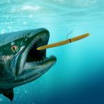 Senko Soft Plastic Fishing Lures 5" Green Pumpkin