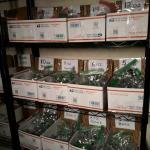 Versatile Lead Bank Sinkers/Weights - Pick Sizes 1oz-20oz