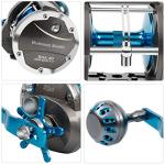 Burning Shark Saltwater Trolling Reel - SHA40
