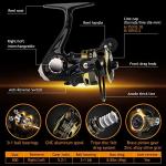 Dovesun Ice Fishing Spinning Combo - UL Power