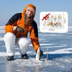 50PCS Ice Fishing Lures Kit for Walleye and Panfish