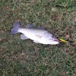 10pcs Topwater Fishing Lures Hard Bait Set