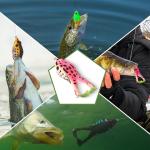 10-Pack Soft Floating Frog Fishing Lures