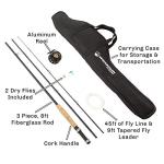 Fly Fishing Rod and Reel Combo Starter Kit