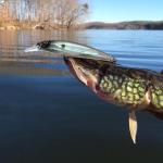 10 Fishing Lures and Crankbaits Set