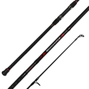 Fiblink 9-Foot Graphite Surf Spinning Fishing Rod