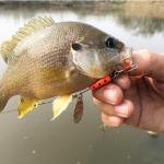 10-Pack Metal Fishing Lures for Bass & Trout