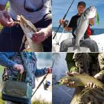 3 Fishing Lures 9-Segment Bass Swimbait Set