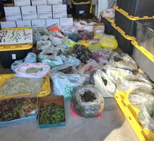 Assorted Plastic Worms and Creature Baits - 300 Pack