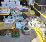 Assorted Plastic Worms and Creature Baits - 300 Pack