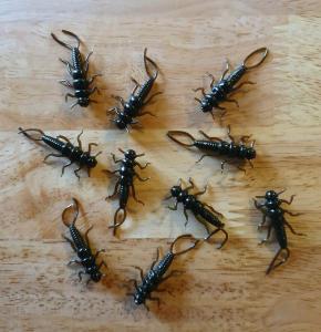 40 Pack of 1.375" Stonefly Nymphs - 10 Colors