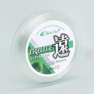 Clear Nylon Fishing Line, 656ft for Beading