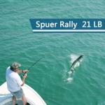 Clear Nylon Fishing Line, 656ft for Beading