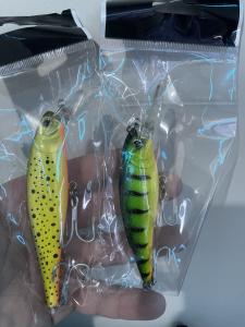 Set of 2 Fish-Shaped Crankbait Fishing Lures