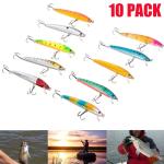 10 Fishing Lures Crankbaits Hooks Minnow Set