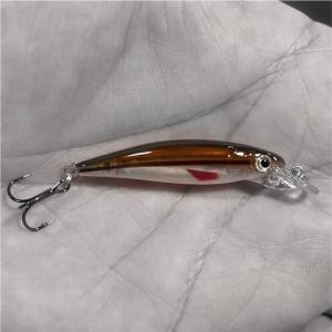 Micro HD Trout Fishing Lure - Redfin Shiner