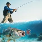 Silicone Soft Dice Fishing Lures - 12 Pack