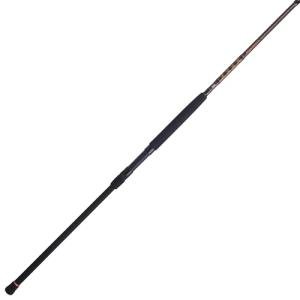 Penn Squadron III Surf Spinning Fishing Rod