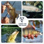 2-Pack Mini Glide Baits for Bass Fishing