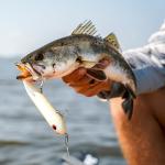 Durable Stainless Steel Fishing Speed Clips - 10 Pack