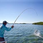 Sougayilang Fishing Rod and Reel Combos - Carbon Fiber Telescopic Fishing Pole - Spinning Reel 12 +1 BB with Carrying Case for Saltwater and Freshwater Fishing Gear Kit-S1.8+20