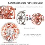 Sougayilang Fly Fishing Reel, CNC-Machined Aluminum Alloy, 5/6 Weight, Lightweight Trout Reel