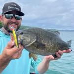 Seaguar Invizx Freshwater 100% Fluorocarbon Fishing Line 15lbs, 200yds Break Strength/Length, clear - 15VZ200