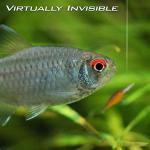 KastKing DuraBlend Monofilament Leader Line, 120Yds/110m, Clear - 60 LB (27.2KG)