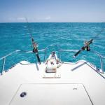 Bekith 2 Pack Fishing Rod Holder with Combo Mount, Adjustable Fishing Boat Rod Holder, Black Finish