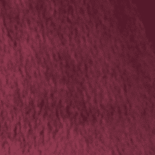 Bon Voyage Classic Burgundy Memory Foam Neck Pillow